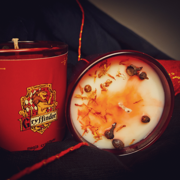 <span><em>Gryffindor</em> </br/>✦ magia cynamonu ✦
